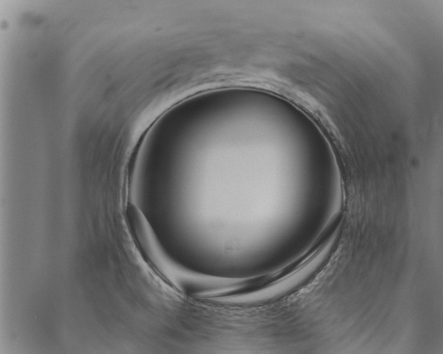 X0000090451520200707131215