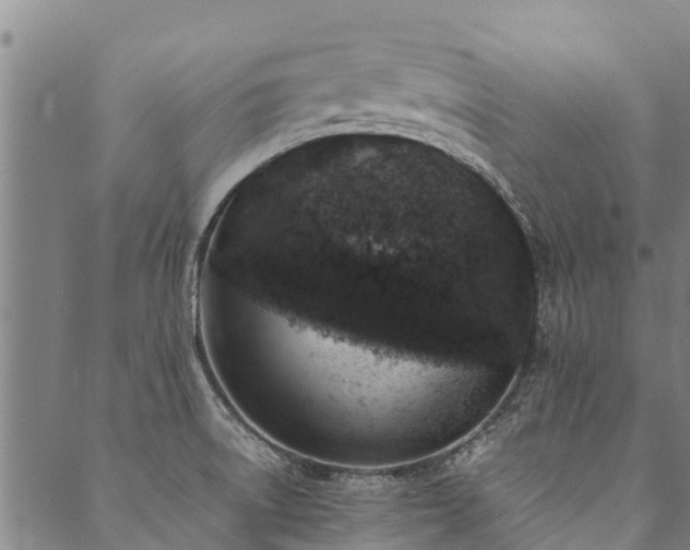 X0000090451522200707131215