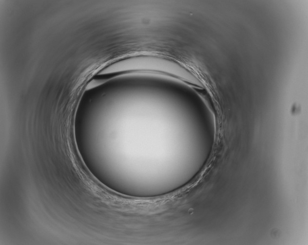 X0000090450001200707201323