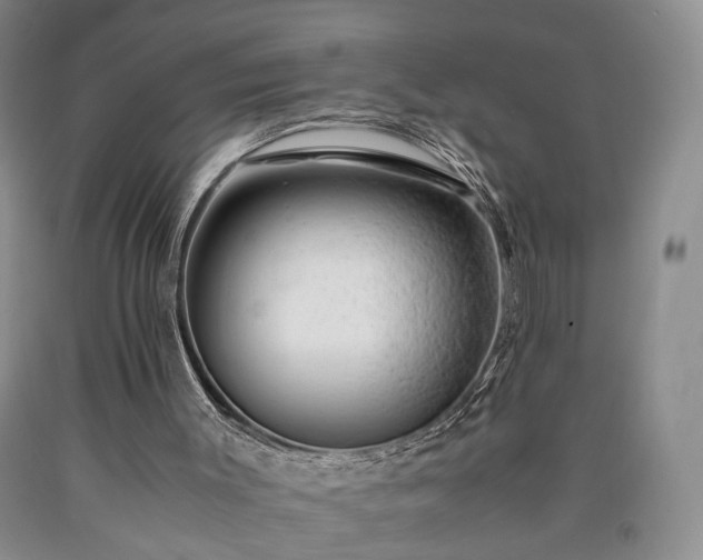 X0000090450003200707201323