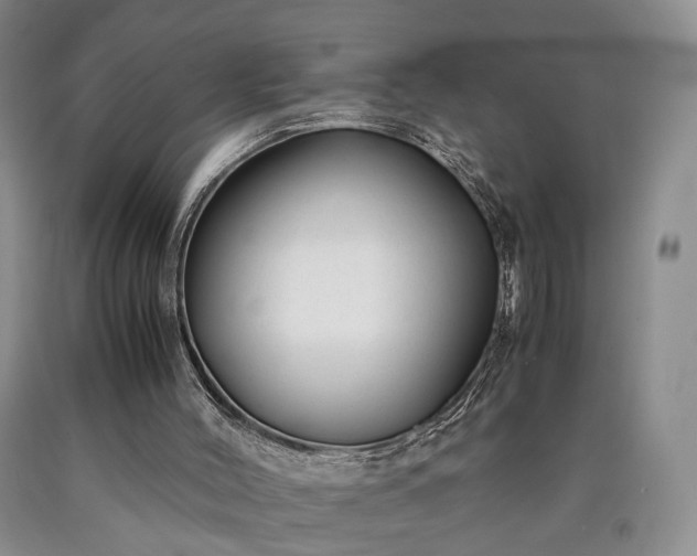 X0000090450004200707201323