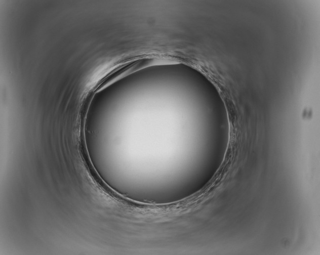 X0000090450005200707201323