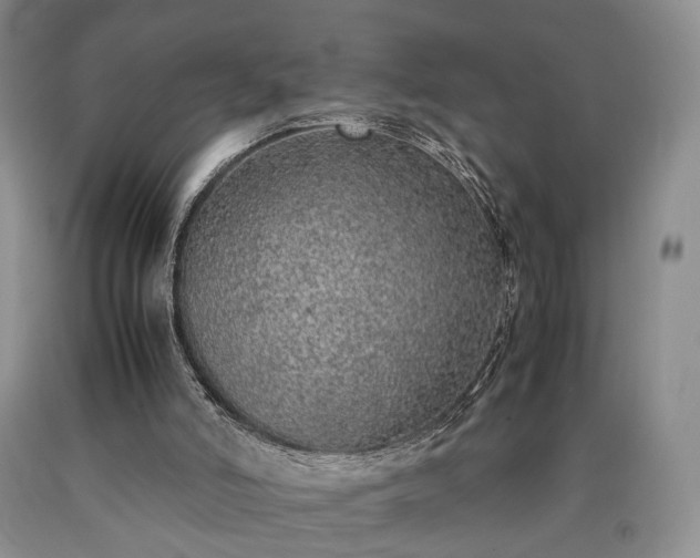 X0000090450006200707201323