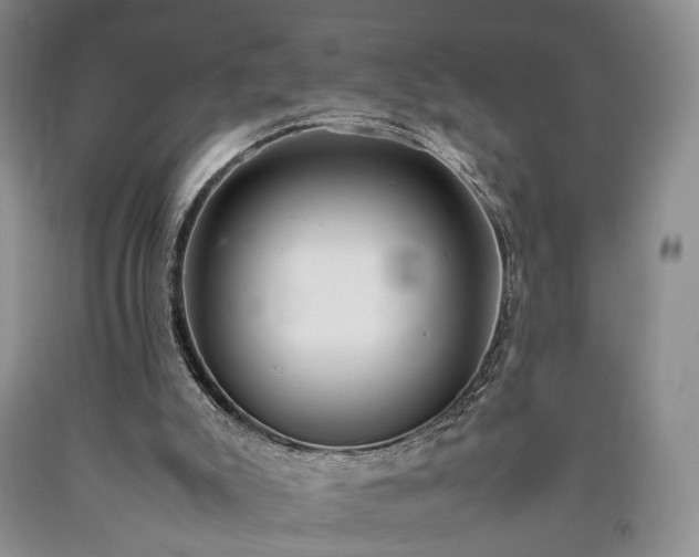 X0000090450007200707201323