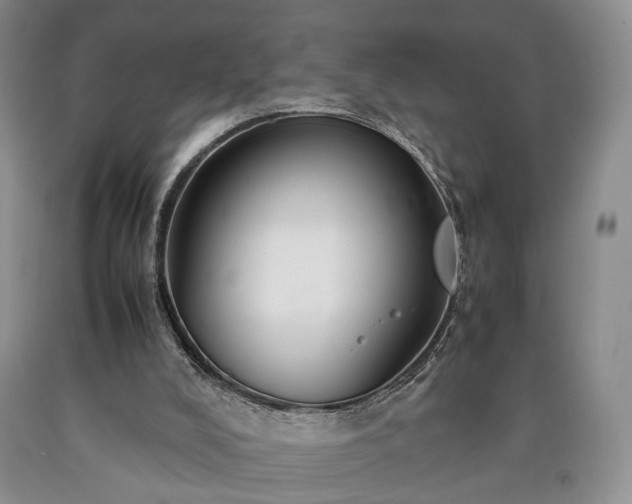 X0000090450008200707201323