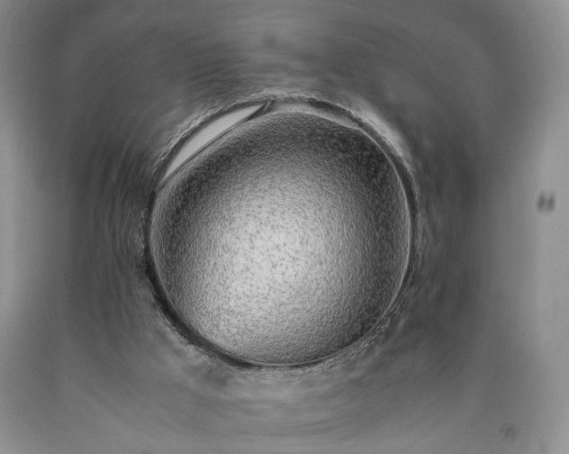 X0000090450009200707201323