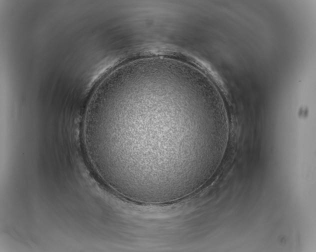 X0000090450010200707201323