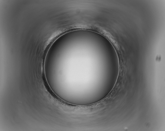 X0000090450011200707201323