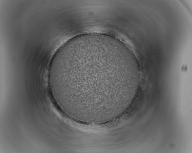 X0000090450012200707201323