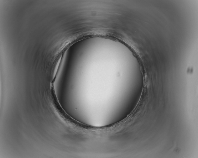 X0000090450013200707201323