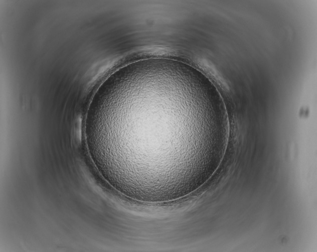 X0000090450014200707201323