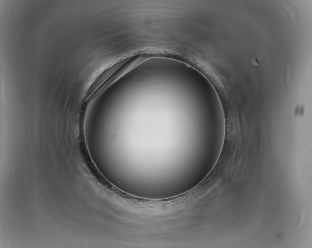 X0000090450015200707201323