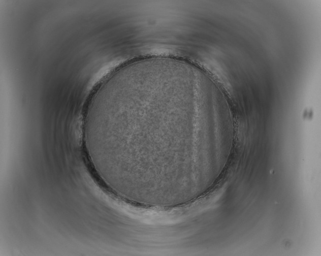 X0000090450016200707201323