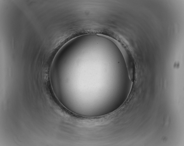 X0000090450017200707201323