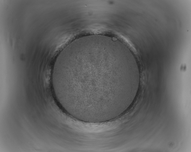 X0000090450018200707201323