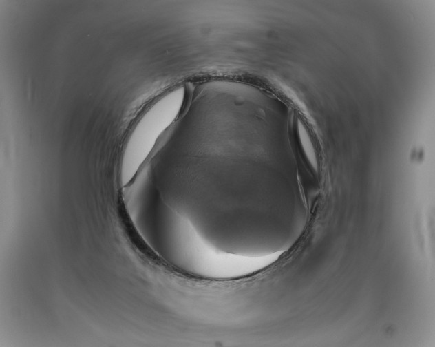 X0000090450019200707201323