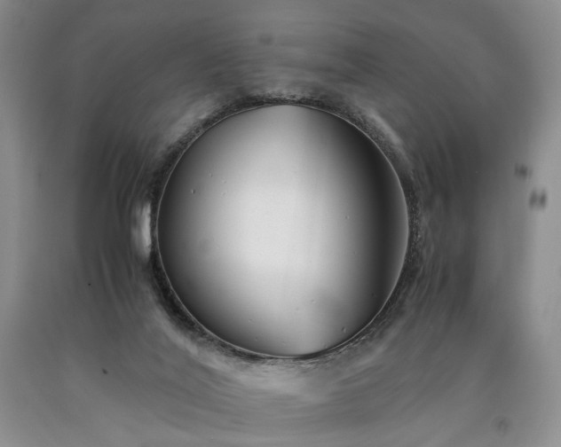 X0000090450020200707201323