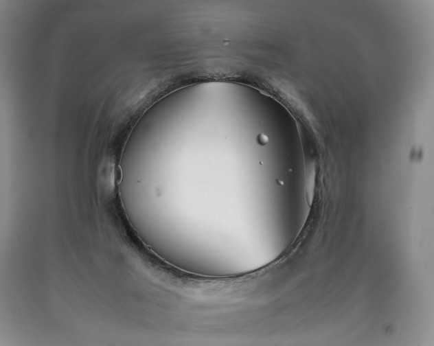 X0000090450021200707201323