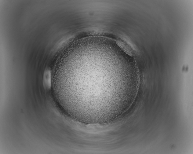 X0000090450022200707201323