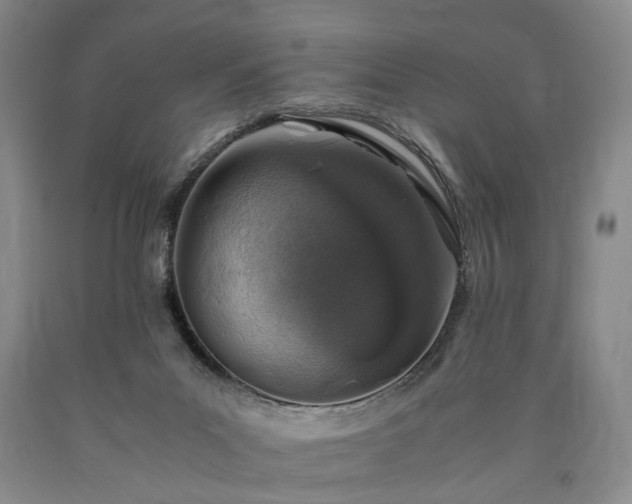 X0000090450023200707201323