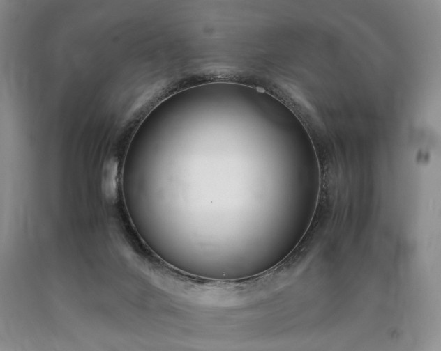 X0000090450024200707201323