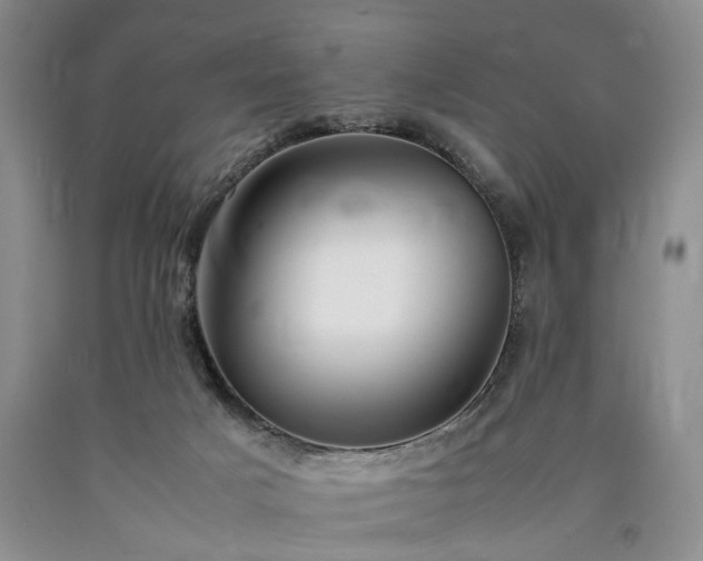 X0000090450025200707201323