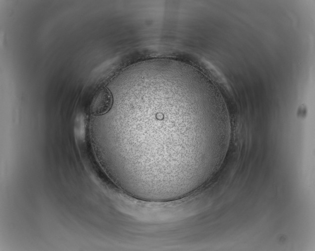 X0000090450026200707201323