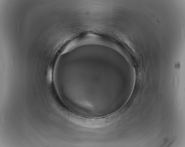 X0000090450027200707201322