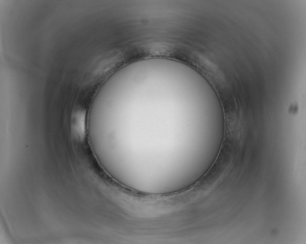 X0000090450028200707201322