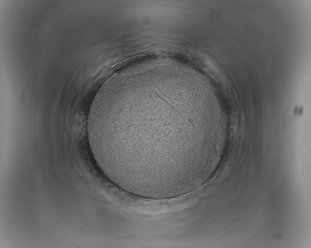 X0000090450029200707201322