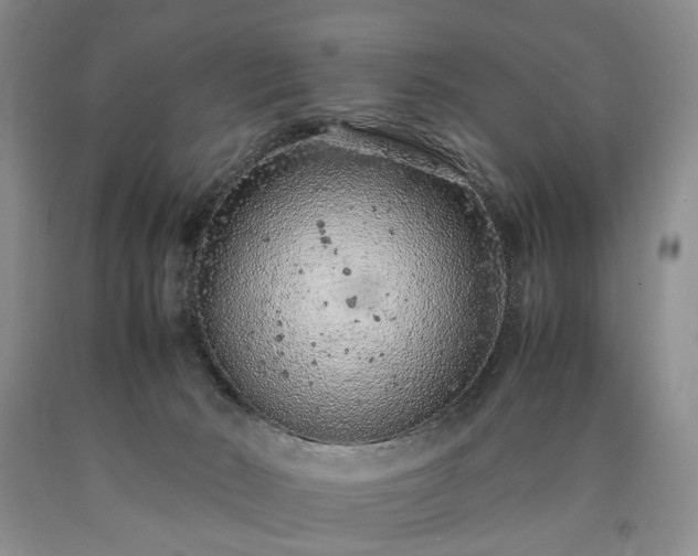 X0000090450030200707201322