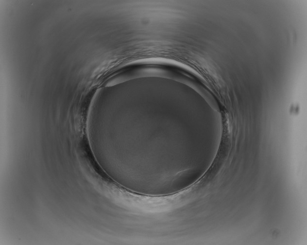 X0000090450031200707201322