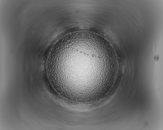 X0000090450032200707201322