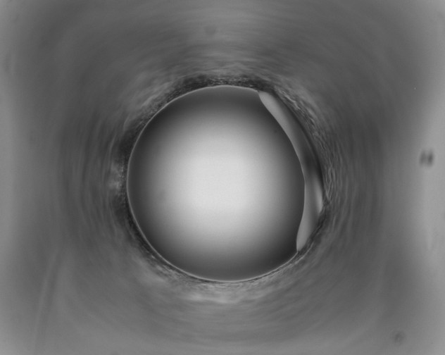 X0000090450033200707201322