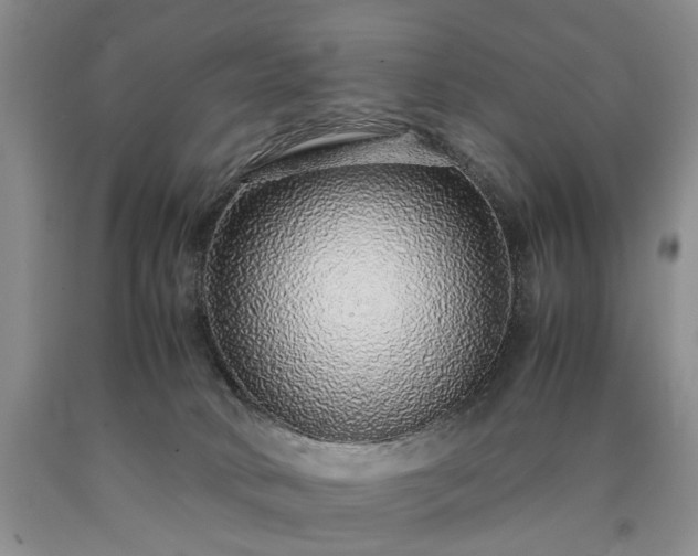 X0000090450034200707201322