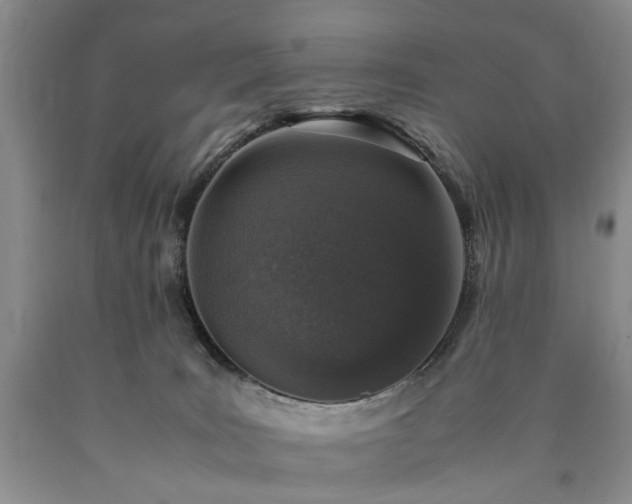 X0000090450035200707201322