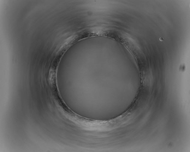 X0000090450036200707201322