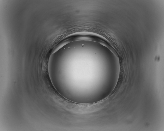 X0000090450037200707201322