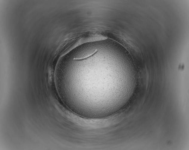 X0000090450038200707201322