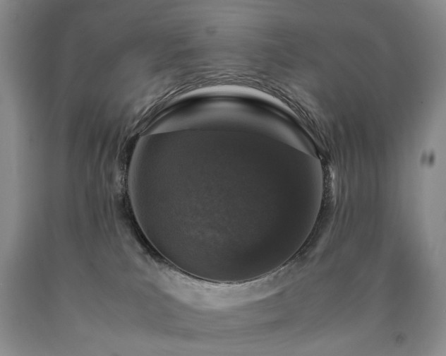 X0000090450039200707201322