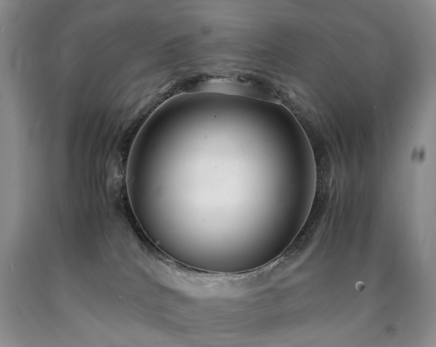 X0000090450040200707201322