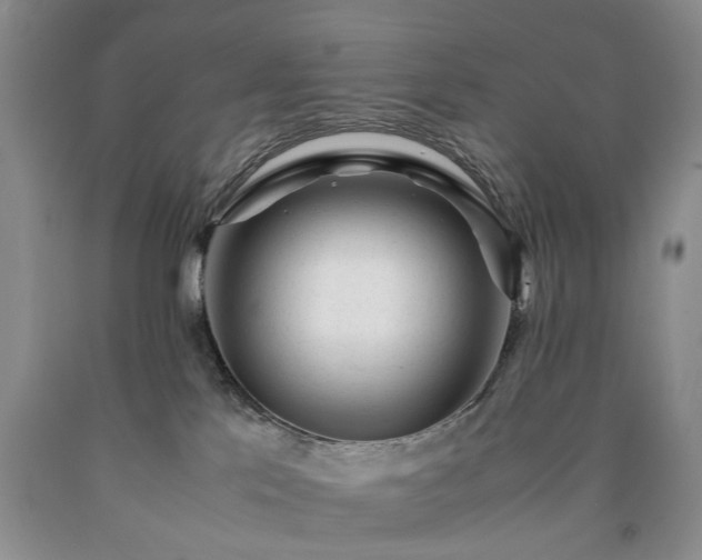 X0000090450041200707201322