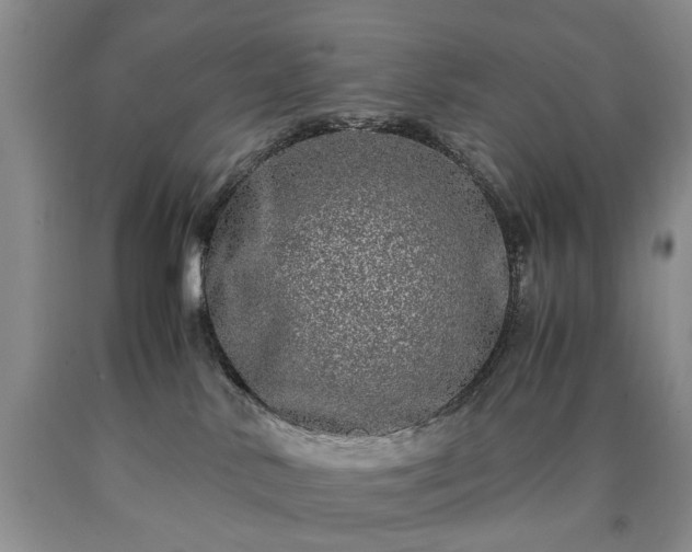 X0000090450042200707201322