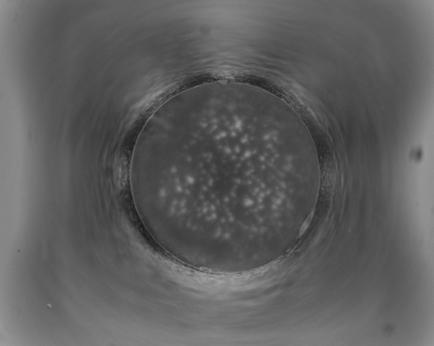 X0000090450043200707201322