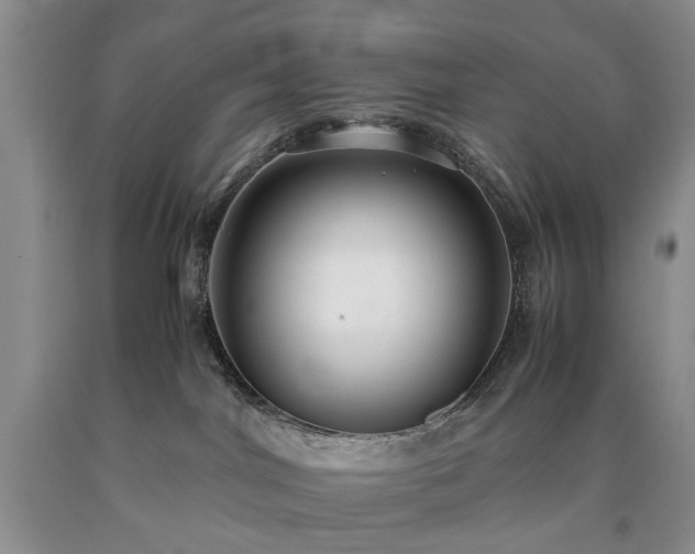 X0000090450044200707201322