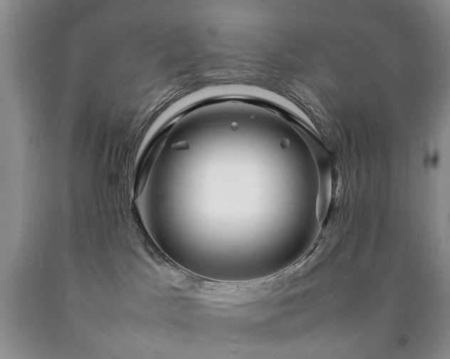 X0000090450045200707201322