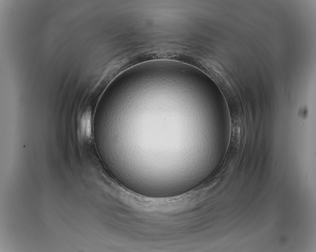 X0000090450046200707201322