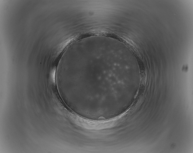 X0000090450047200707201322