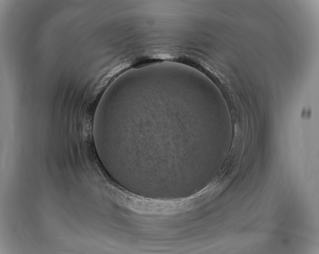 X0000090450048200707201322