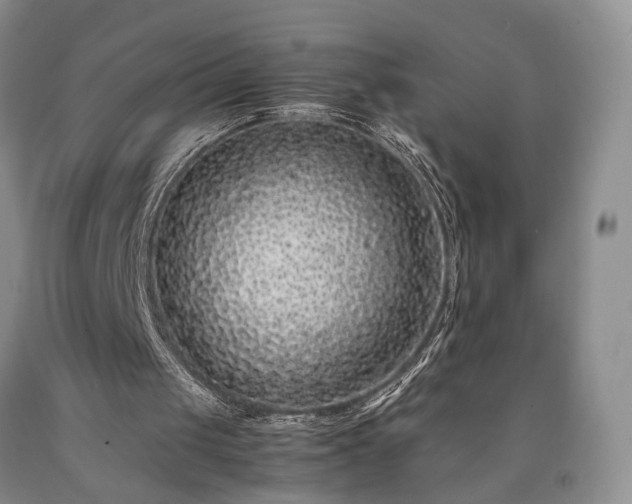 X0000090450049200707201322